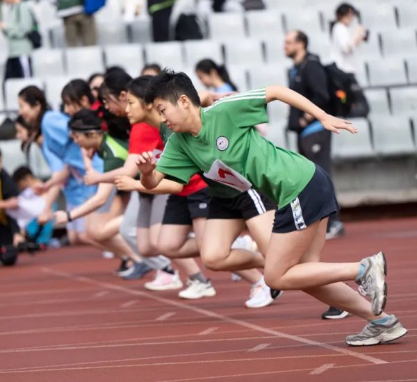 How Game-Day Energy Shapes Unforgettable Sports Moments